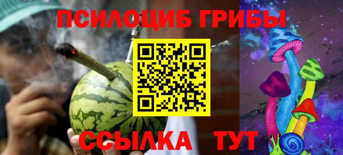 Псилоцибиновые грибы прущие грибы Великие Луки