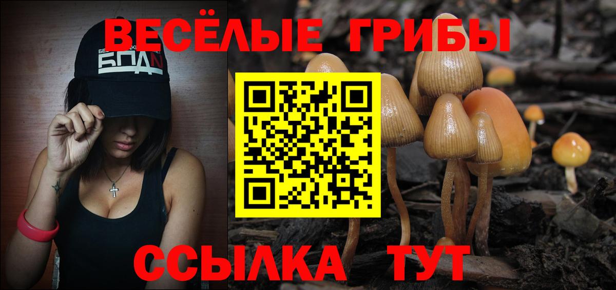 Великие Луки  Псилоцибиновые грибы Psilocybe  Вход с VPN  Галлюциногенные грибы Cubensis 
